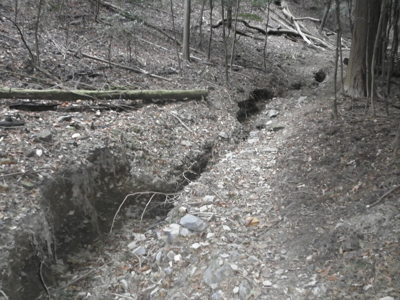 2013/12/15 13:10:42 台風の跡