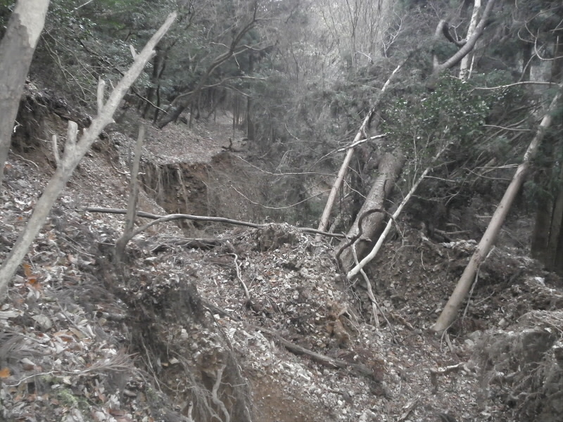 えげつなく、崩れています。
音羽山ハイキング道は直してもらえますが、このあたりはどうなんでしょうか。迂回路ができてくるんでしょうね。