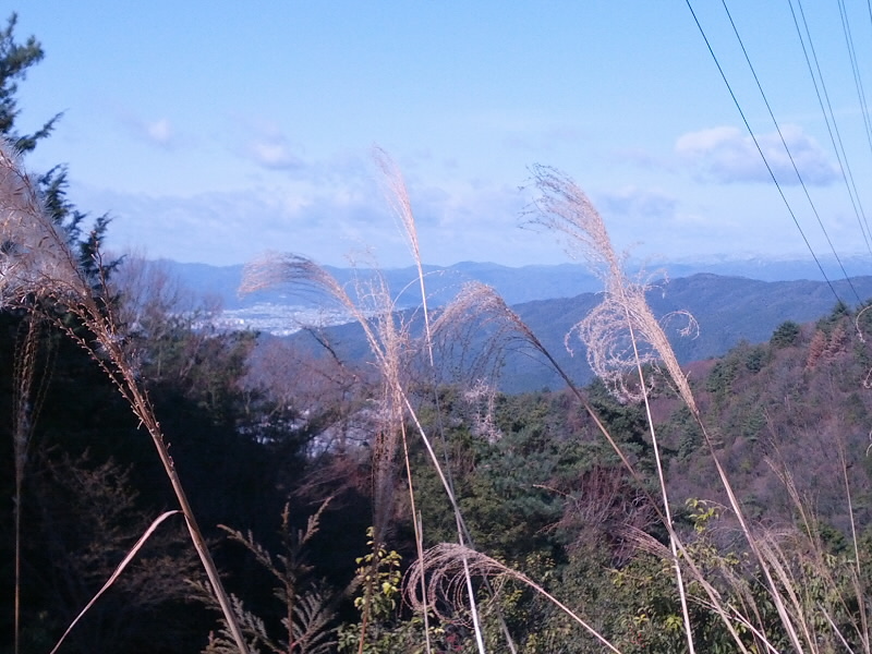 途中の鉄塔からの遠景。
