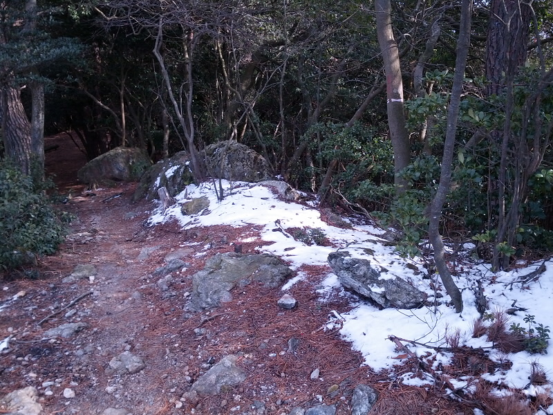 低くって山です。昨日、下では雨でしたけれど、ここでは雪のようです。その雪が残っています。