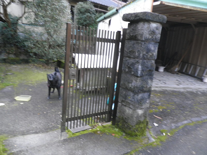 2014/01/03 14:07:31 クロ