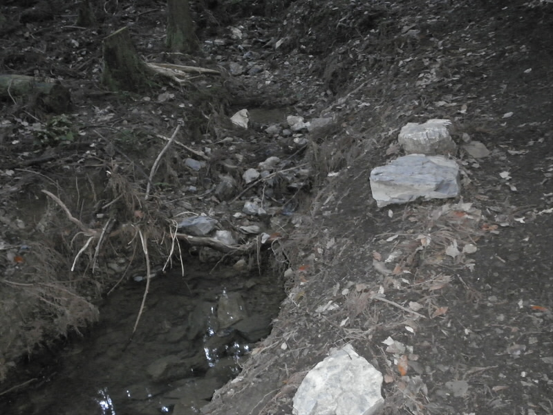 2014/01/03 14:17:14 ここにも台風の爪痕