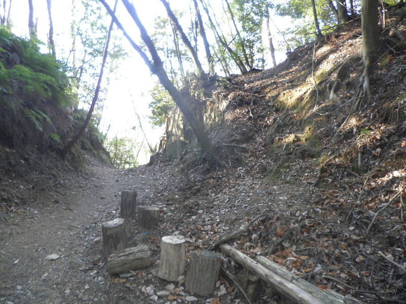 2014/01/03 14:22:29 登り口