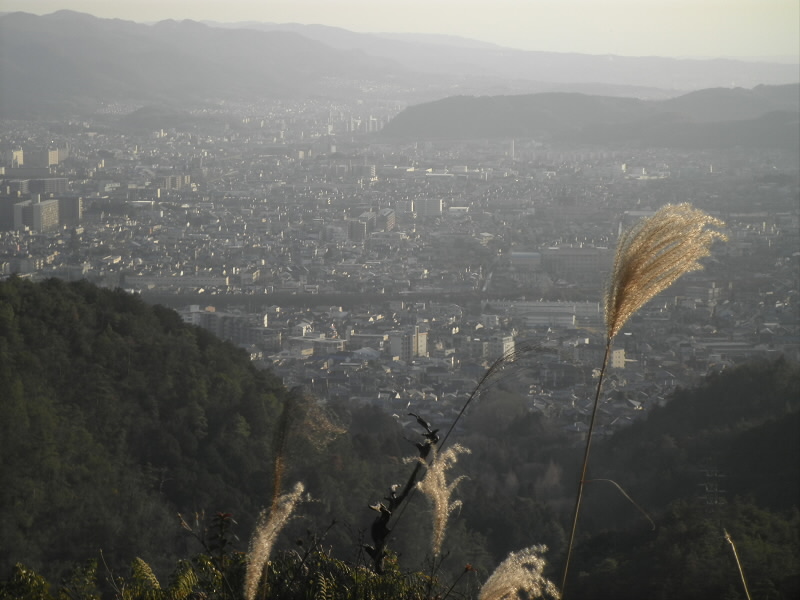 ここからは、山科が一望です。