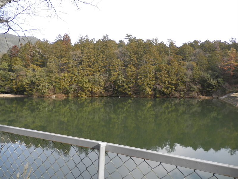 2014/01/25 10:33:35 権土池