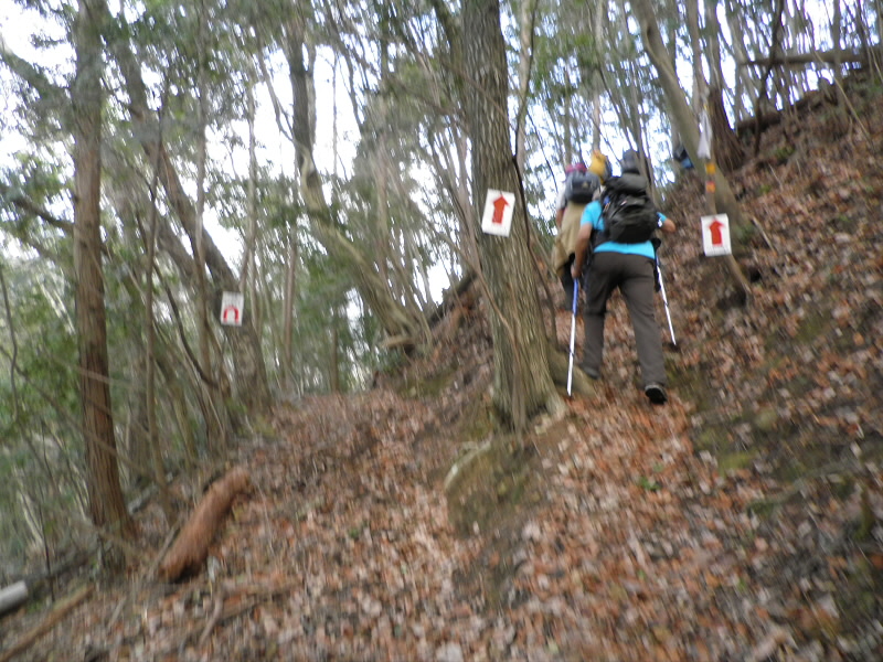 2014/01/25 10:56:23 分かれ道