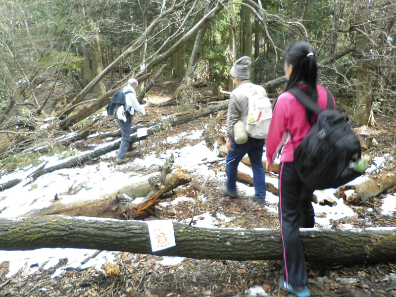 先週に降った雪の残りと思います。
斜面の一部と影になっているところに残っていました。
山の中より、静原とか鞍馬の方が残っているようです。

