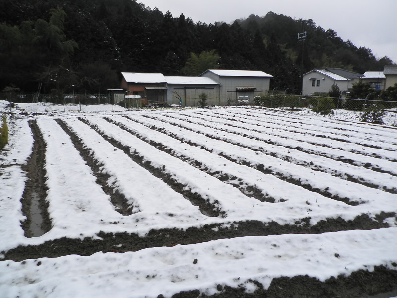 2014/02/09 09:23:50 小山の里