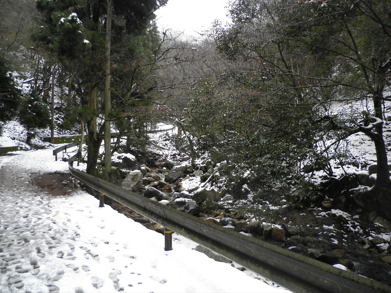 2014/02/09 09:41:43 このあたりでの雪