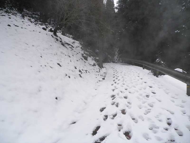 だいぶ残っています。
すり減った靴にはつらくなってきたので、しずく谷でアイゼンを装着しました。
もうそれから、鶴の里の手前までつけっぱなしです。