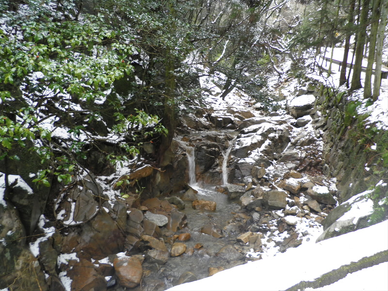 雪の中を落ちる滝をイメージしたのですが、滝の下ではしぶきで融けてしまっている。
