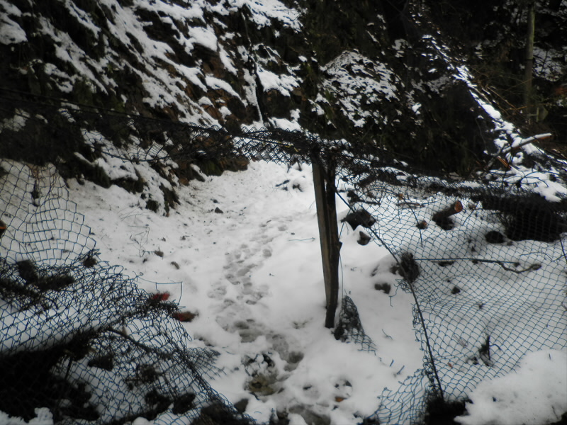 2014/02/09 09:51:00 音羽の滝のとこ