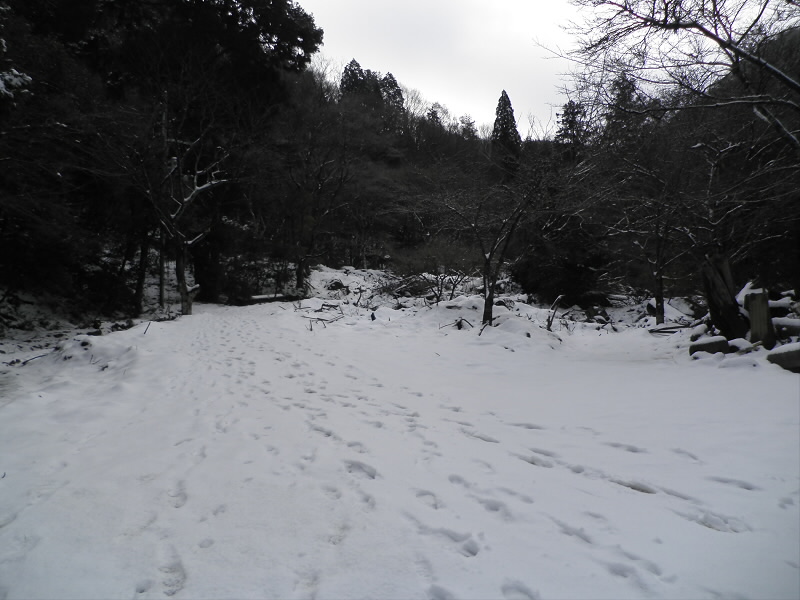 2014/02/09 09:59:55 桜馬場の全景