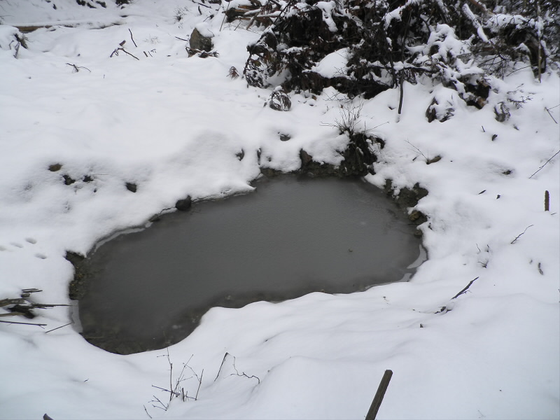 2014/02/09 10:00:50 桜馬場