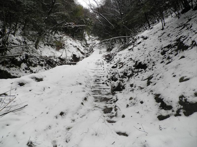 2014/02/09 10:03:48 参道