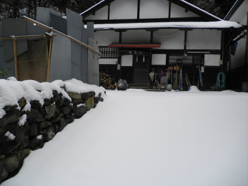 2014/02/09 10:14:53 牛尾観音