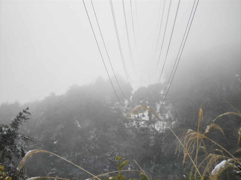 2014/02/09 10:38:10 山頂の手前