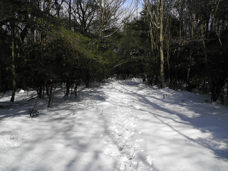 2014/02/09 12:50:02 BBCへの道