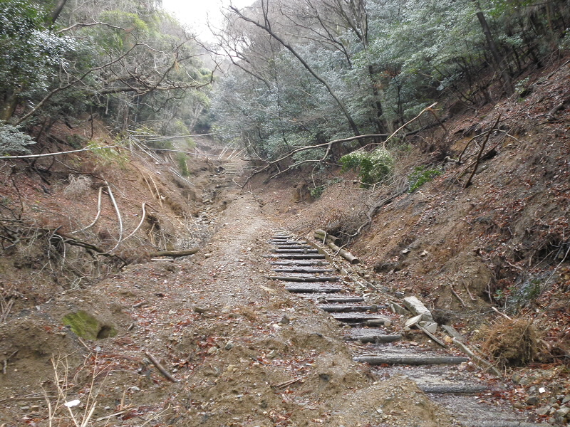 2014/03/02 11:30:06 参道
