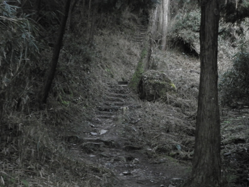 2014/03/09 08:31:31 登り口