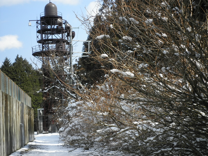 2014/03/09 13:17:16 雪がついた木々