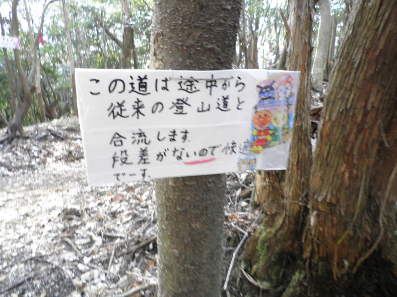 2014/03/09 14:24:52 膝にやさしいコース