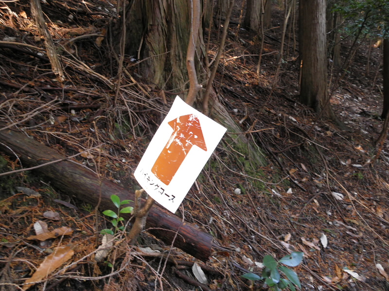 2014/03/12 08:47:38 矢印シール