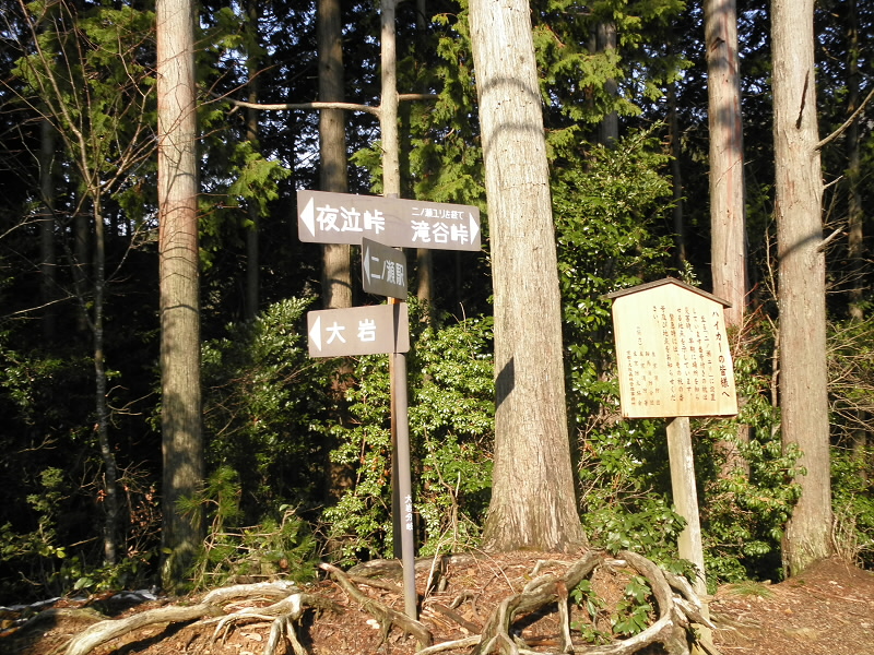 全然、季節感のない写真になってしまいました。
夜泣き峠への道は雪があったのですが、やはり帰りには融けてなくなっていました。