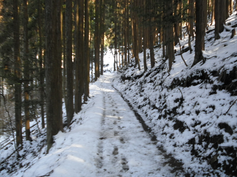 雪が融けはじめているので、ぐちょぐちょです。