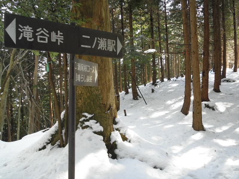 このあたりは１数センチの積雪。