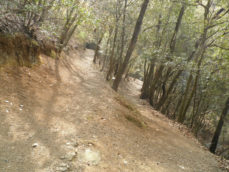 2014/04/12 09:18:33 西尾根道への分岐