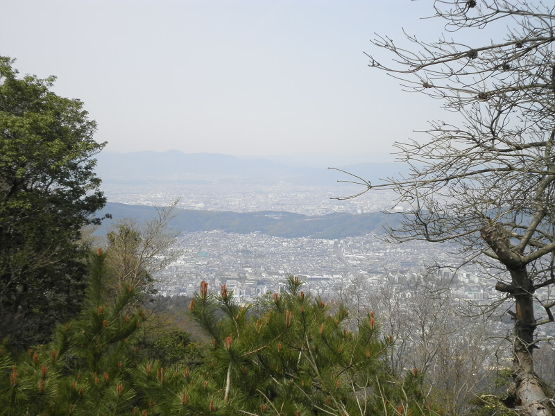 って、山科は京都と違うんかという突っ込みはなし。
山科の人は稲荷山の向う行くのを「京都へ行く」と行っています。