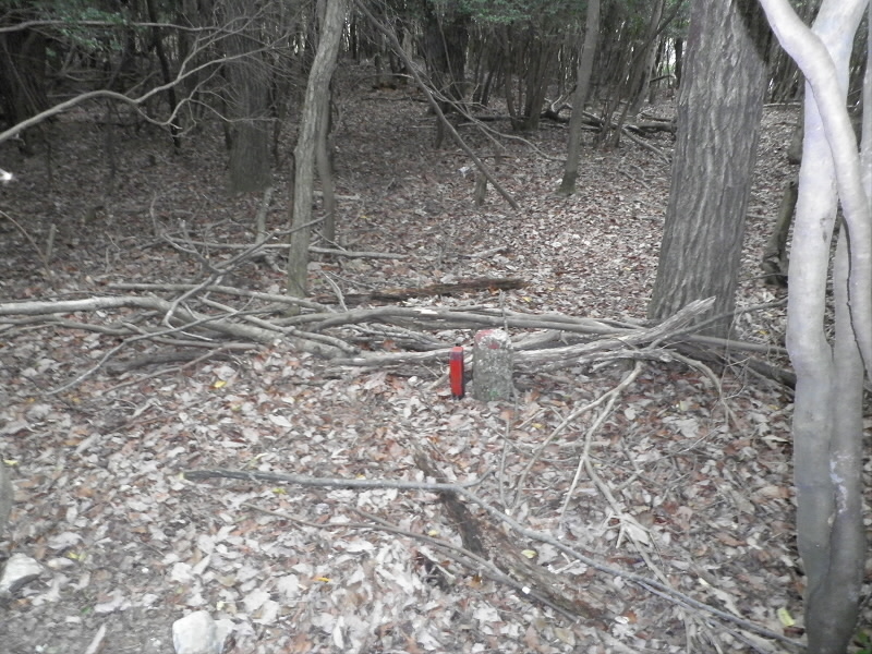 2014/05/03 14:41:32 迷いポイント