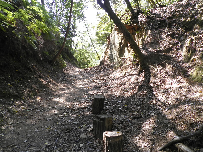 2014/05/06 13:39:30 登り口