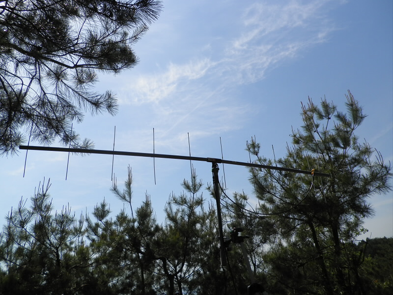 2014/05/06 14:30:20 １１エレメント　八木アンテナ