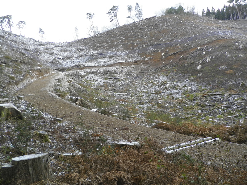 2014/12/13 11:37:22 魚谷山へ