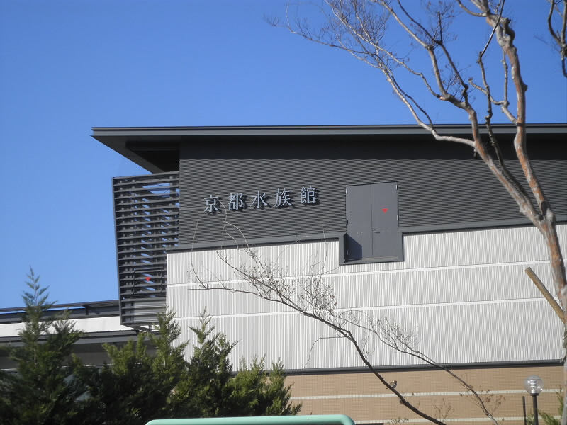 はじめて、前まで来ました。
水族館好きとしましては、ぜひ、今度は中に入ってみたいと思います。