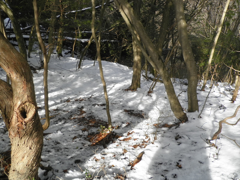 比叡アルプスには雪がありました。
でも、でも、アイゼンは必要ないですね。