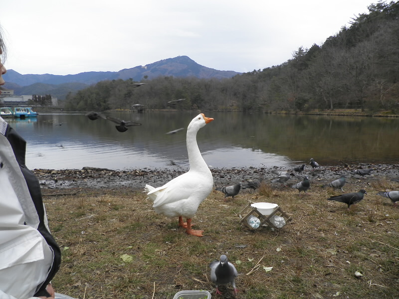 横のおかあさんの掛け声でポーズを決めてくれました。