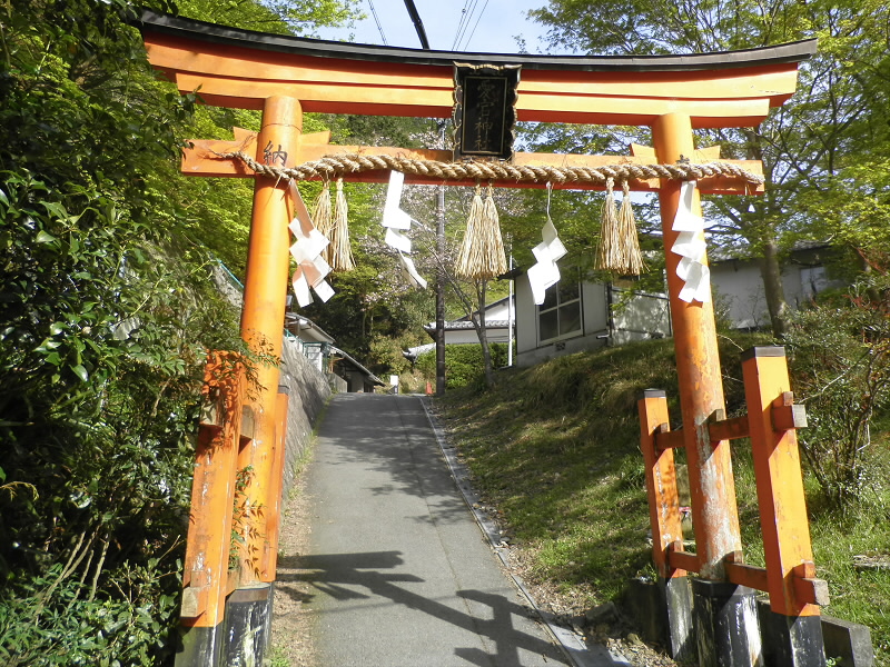 ここからが、本番。
しばらく行くと、右にケーブルのあとがあります。
あれが、動いていたらもっと楽なのに。
でも、昔と違って参拝する人が少ないからだめかな？