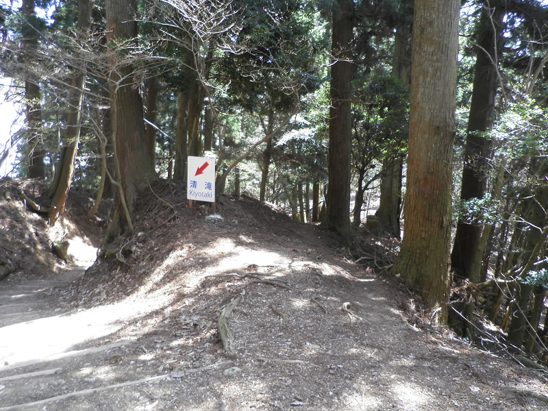 この看板の右を行くとツツジ尾根。
清滝へ降りられないので、注意です。
