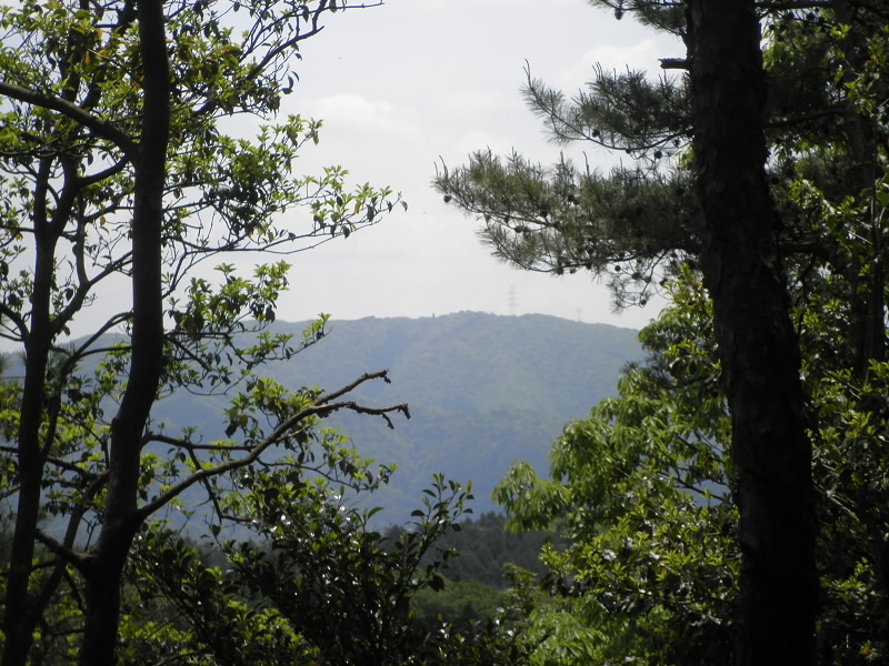 2015/05/06 11:06:59 音羽山山頂を望む