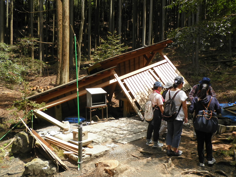 倒木で社が倒壊してしまっていました。
