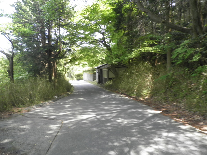 ここから、ゴルフコース内の道路を歩きます。