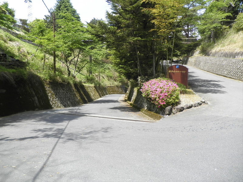ハイキング道はクラブハウスへ上がります。
