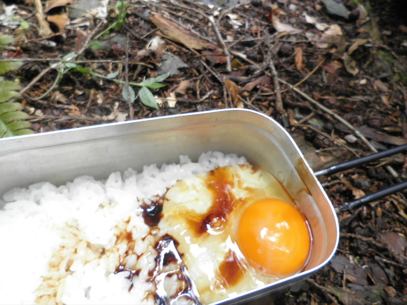 2015/06/07 11:56:14 今日のお昼