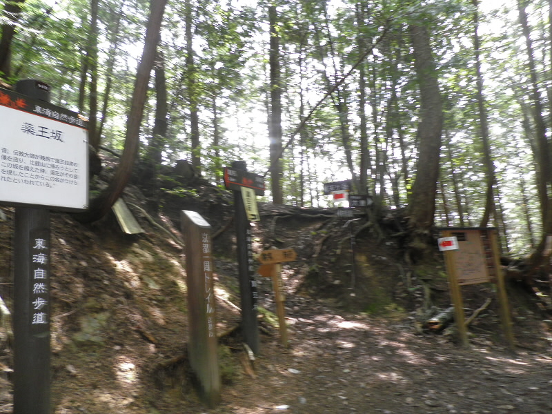 薬王坂を左に曲がって、尾根をすすみました。
