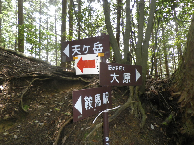 2015/06/13 10:29:45 薬王坂