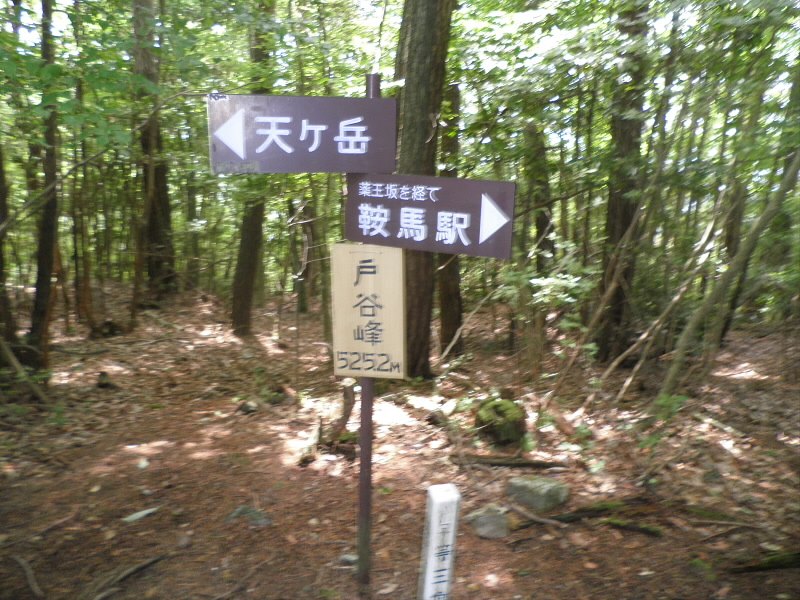 2015/06/13 11:03:52 戸谷峰