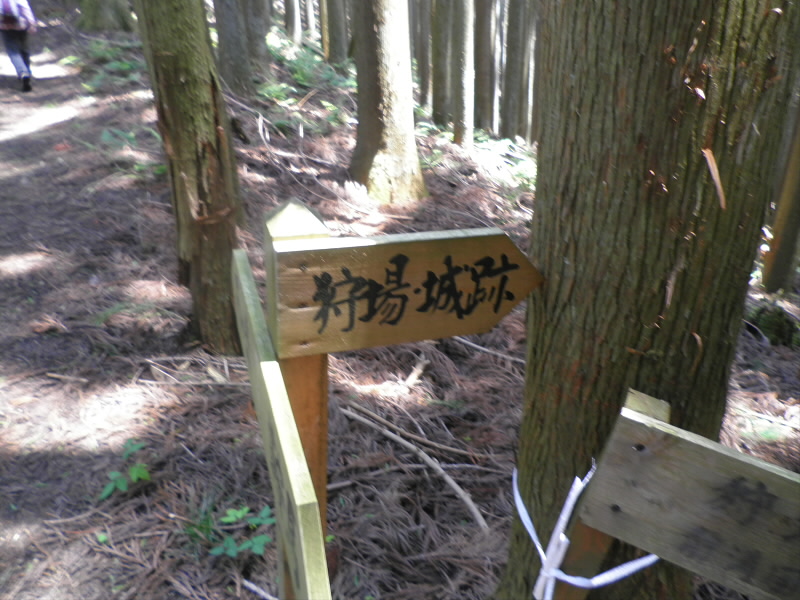 2015/06/13 11:08:47 狩場・城跡 分岐